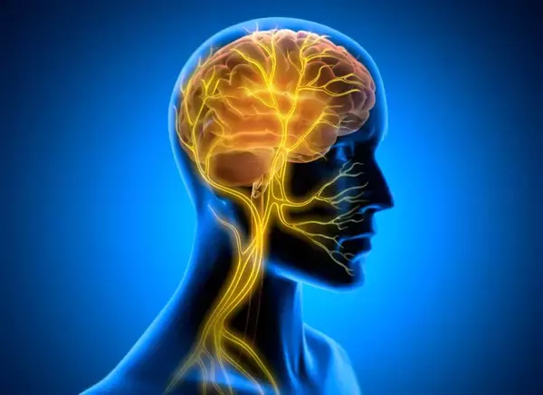 「【企業研修レポート】日本医学放射線学会様にてマインドフルネスの実践会！」の画像