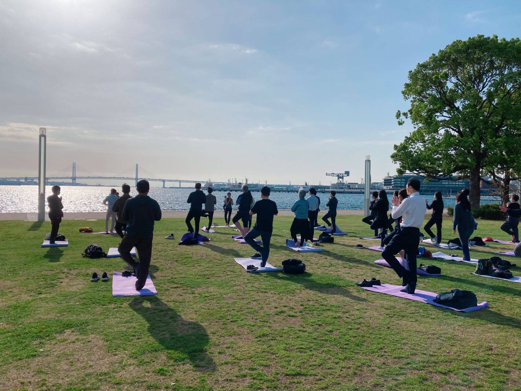 【企業研修レポート】日本医学放射線学会様にてマインドフルネスの実践会！