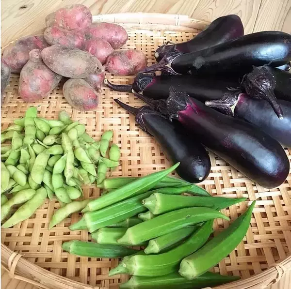 「「旬の野菜」の手軽な取り入れ方。家庭菜園・干し野菜・糠床…季節の”食”を楽しもう！｜気象予報士コラム」の画像