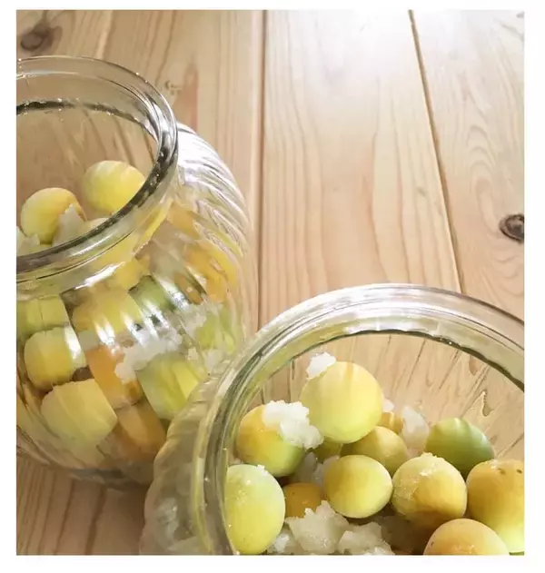 「「旬の野菜」の手軽な取り入れ方。家庭菜園・干し野菜・糠床…季節の”食”を楽しもう！｜気象予報士コラム」の画像