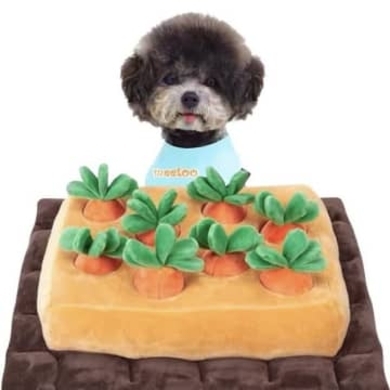 まぬけな顔に笑わずにはいられない 飼い主もワンちゃんもハッピーになるおもちゃ7選 15年11月13日 エキサイトニュース