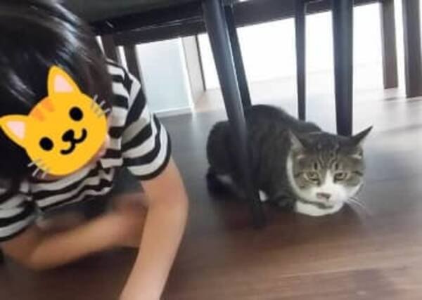 すみませんが 面白すぎます 小4がおもちゃを自作 ネッコよ せめて見て Www 21年8月14日 エキサイトニュース