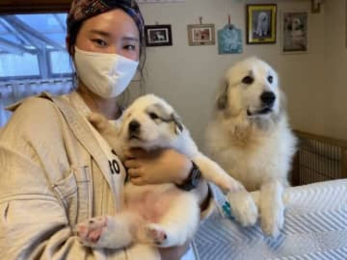 でっかい 生後1ヶ月のモフモフ子犬 その2ヶ月後の姿がどう考えてもバグってる 2021年10月2日 エキサイトニュース