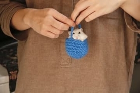 「可愛すぎますっ」手編みの袋に入るハムスターが可愛すぎて、海外からも大反響！