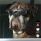 「Galaxy S26 Ultra「カメラ性能がわかる公式動画」公開、暗所でも高倍率ズームでも従来より鮮明に」の画像6