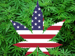 大麻を全米で合法化する包括的法案、下院司法委員会で承認