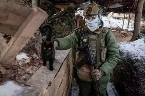 ウクライナの最前線に迷い込んだ猫や犬、兵士らがドローン駆使して救出