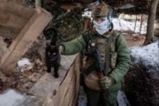 ウクライナの最前線に迷い込んだ猫や犬、兵士らがドローン駆使して救出