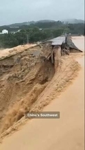洪水で800匹超えるヘビが逃げ出す　中国