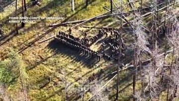 ウクライナが大胆な作戦、ロシア兵250人あまり投降　前線背後にロボット投下、「トロイの木馬」も