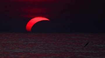 珍しい夕暮れ時の皆既日食、世界の天体ファンを魅了