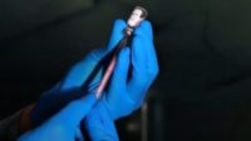 「世界の薬局」インド、肥満症治療薬の発売ラッシュ訪れるか　特許切れ控え