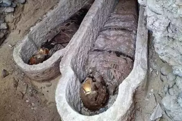 ミイラの腹部にホメロスの叙事詩、エジプトの遺跡で初の発見