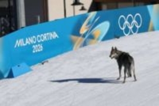 犬がまさかのオリンピックデビュー、スキー選手を追ってゴール　観客も喝采