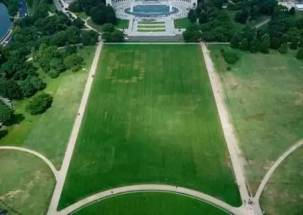 米首都の公園に刻まれた巨大な「8647」の数字、「大統領暗殺を示唆」と政権が非難