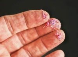 プラスチックごみが渦巻く「太平洋ごみベルト」、はるかに重大な問題を抱えている可能性