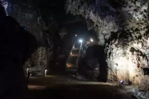 367万年前の人類の祖先「リトルフット」、デジタル復元で顔が明らかに