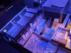 ミツバチが時間を処理できることを発見、昆虫では初めて　光の点滅の長さを区別