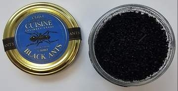 デザートにアリをトッピング、韓国のレストランオーナーに罰金　実刑は免れる