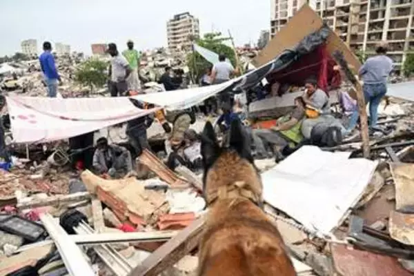 国際救助犬の英雄たち、ベネズエラ地震の被災地で命救う活動支える