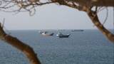 「イラン、ホルムズ海峡の支配の大部分失う　オマーン側ルートを採用する船舶が増加」の画像1