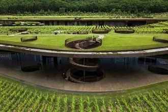 覆面集団が高級ワイン3万本窃盗、被害額8億円以上　イタリアで相次ぐ被害