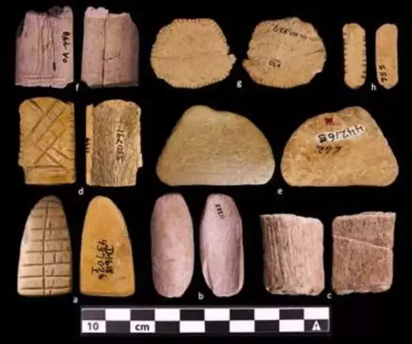 米大陸先住民、最終氷期からゲームに興じていた可能性　先史時代のサイコロが示唆