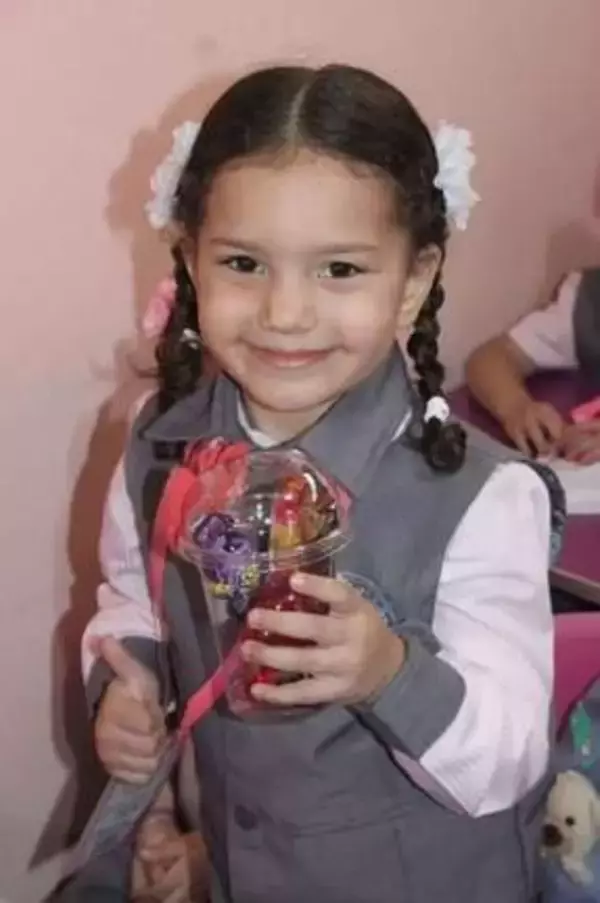 イスラエル軍が車を銃撃、救助訴え続けて死亡した5歳少女　軍が犯罪捜査の開始を表明