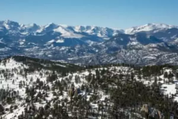 ハイキングコースでピューマに襲われ女性死亡　米コロラド州