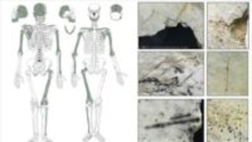 古代欧州人、敵の脳をすくって食べていた可能性　考古学調査で痕跡発見