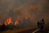 「欧州の山火事が猛威　スペイン・フランスで25万人超が避難」の画像1