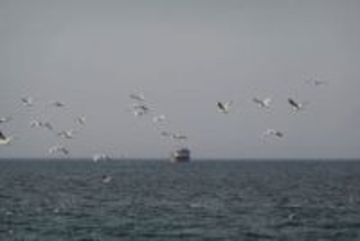 イランの革命防衛隊、ホルムズ海峡通過する船舶には「火をつける」