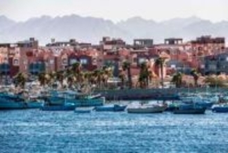 首に巻き付けたヘビにかまれ観光客死亡、ヘビ使いショー観覧中　エジプト