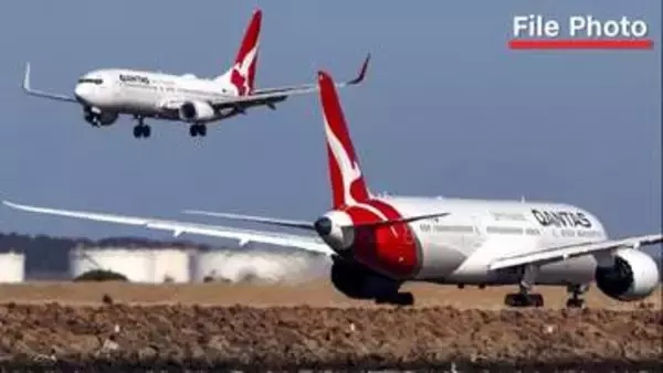旅客機内にトコジラミ、カンタス便が欠航に　「所持品や衣類の上をはう虫が…」