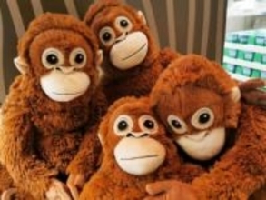 「パンチ」くん効果、世界にも　イケアの縫いぐるみが各国で売り切れ続出