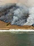 「米国立公園の島、山火事で3分の1が焼失　希少な動植物が生息」の画像1