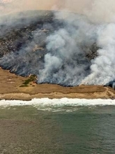 米国立公園の島、山火事で3分の1が焼失　希少な動植物が生息