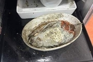 機内食ケータリング施設にウジやゴキブリ、従業員が苦情申し立て　米ロサンゼルス空港隣接