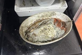 機内食ケータリング施設にウジやゴキブリ、従業員が苦情申し立て　米ロサンゼルス空港隣接
