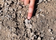 猿人の足骨をめぐるなぞ解明か　人類の系譜を塗り替える可能性も