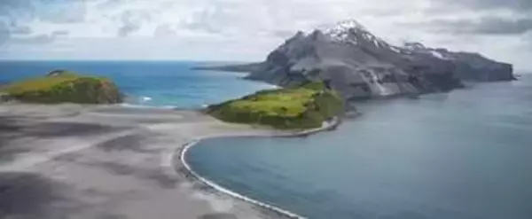 亜南極諸島2島でアザラシの子ども1万3000頭死ぬ、鳥インフルの蔓延が原因と科学者ら　豪