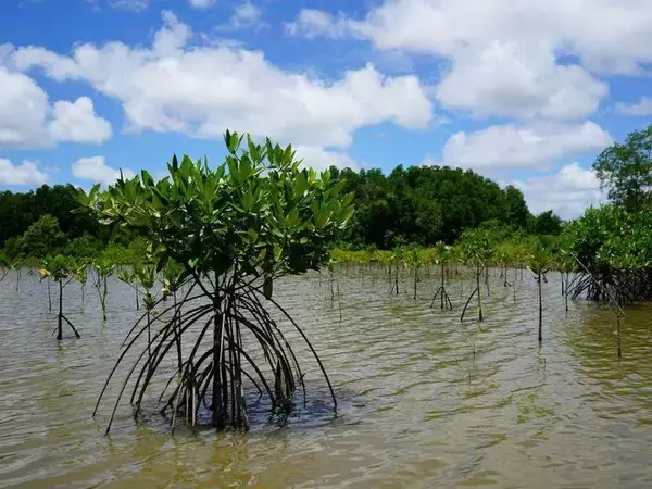 「組織の中から未来を変える。今注目されるソーシャル・イントラプレナーという生き方」の画像