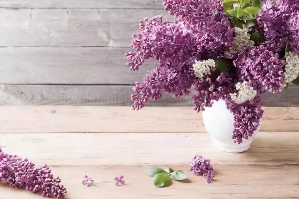 生花は困ることも。ギフト上手が、花束のかわりに贈るもの