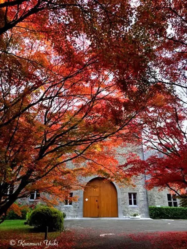 「城主のプリンセスに会える、ベルギーの城下町シメイを行く旅」の画像