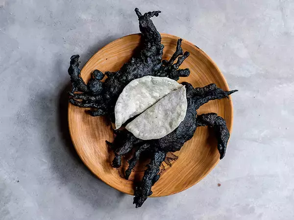 「あのノーマだって。世界はモダン・メキシカンに恋してる」の画像