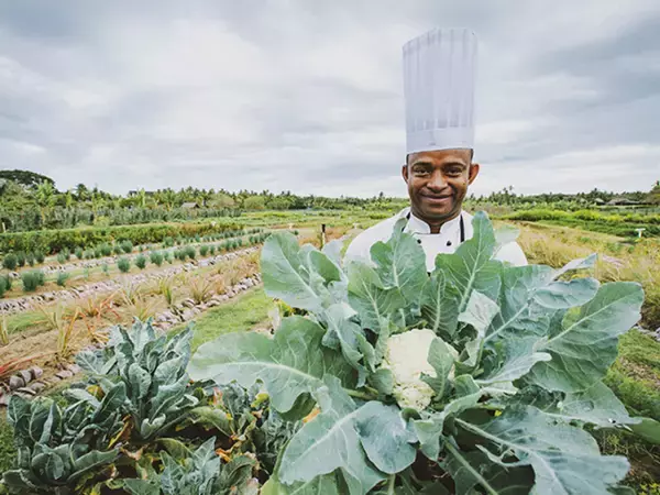 「旅先で取り組むSDGs。ラグジュアリーホテルが提示する新たな旅の概念とは？」の画像