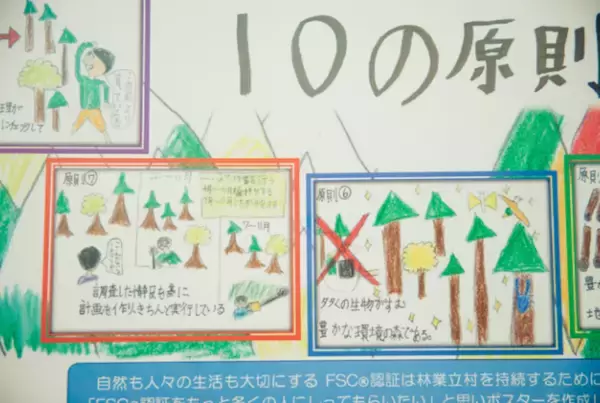 「終わりの見えないアマゾン火災から、森とわたしたちの関係を考え直してみた」の画像