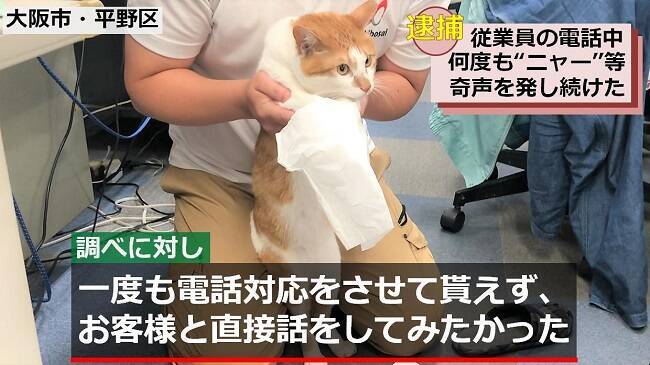 広報課長はネコ 防災会社のツイッター話題に 電話中に何度も ニャー と奇声を発し 迷惑防止条例違反の容疑で逮捕しました 19年8月28日 エキサイトニュース