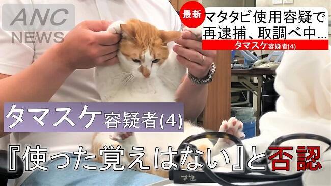 広報課長はネコ 防災会社のツイッター話題に 電話中に何度も ニャー と奇声を発し 迷惑防止条例違反の容疑で逮捕しました 19年8月28日 エキサイトニュース