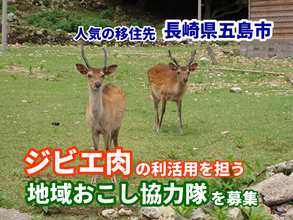 "ジビエ肉"を活用できる地域おこし協力隊、長崎県五島市が募集　条件は「解体経験・狩猟免許を受けた経験がある人」
